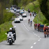The pack in action during the fourth stage, a 151,7 km race between Saillon and Leysin at the 77th Tour de Romandie UCI World Tour Cycling race, in Le Sepey, Switzerland, Saturday, April 27, 2024. (KEYSTONE/Jean-Christophe Bott)